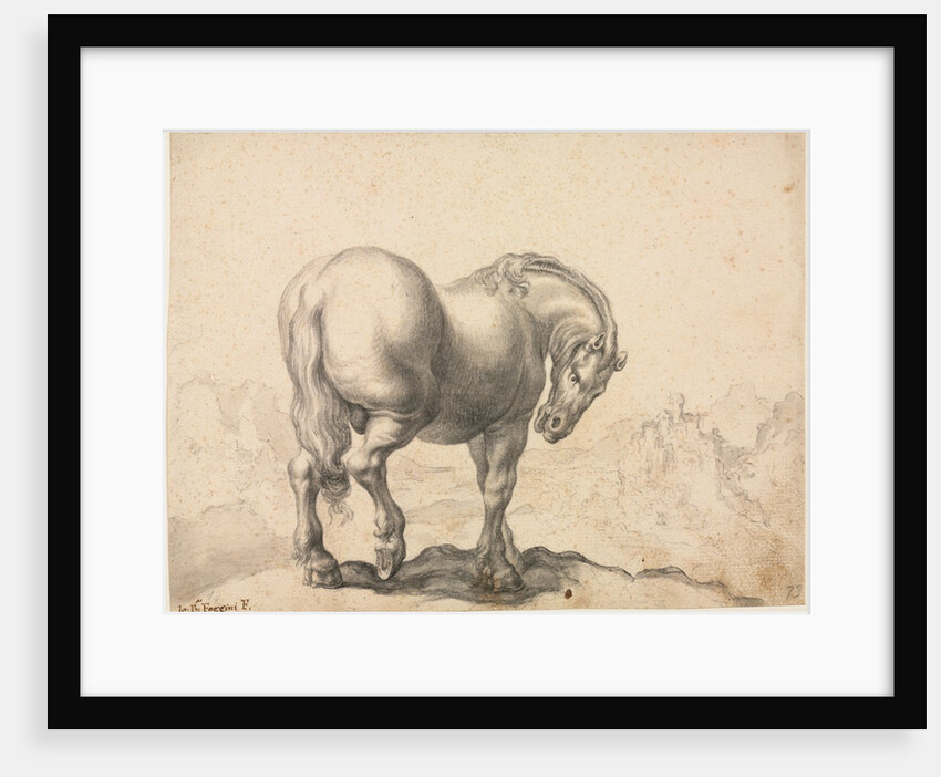Study of a Stallion by Giovanni Battista Foggini