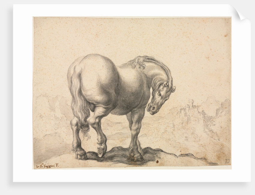 Study of a Stallion by Giovanni Battista Foggini