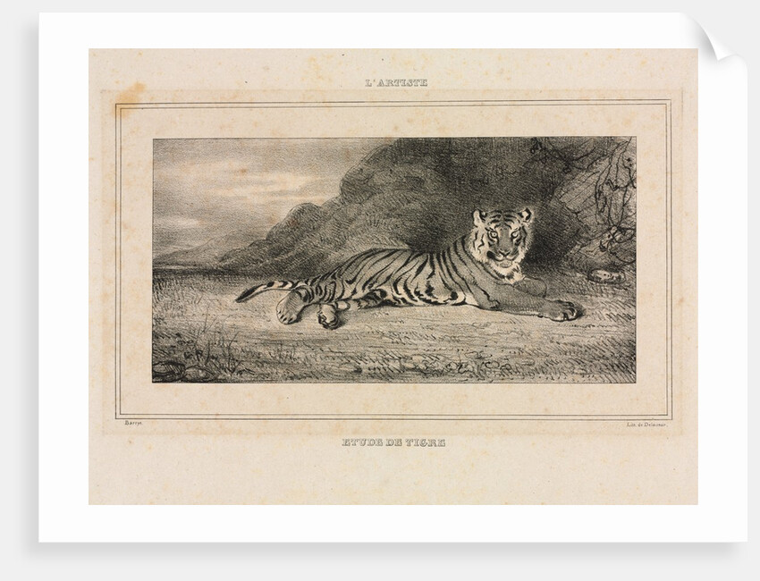 Study of a Tiger, 1832 by Antoine-Louis Barye