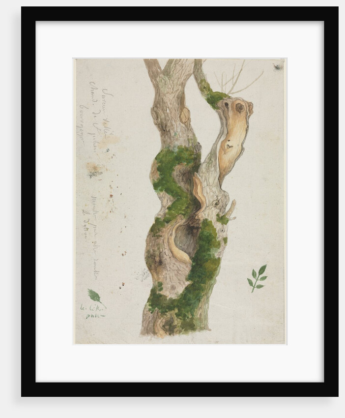 Study of a Tree Trunk by Georges Michel