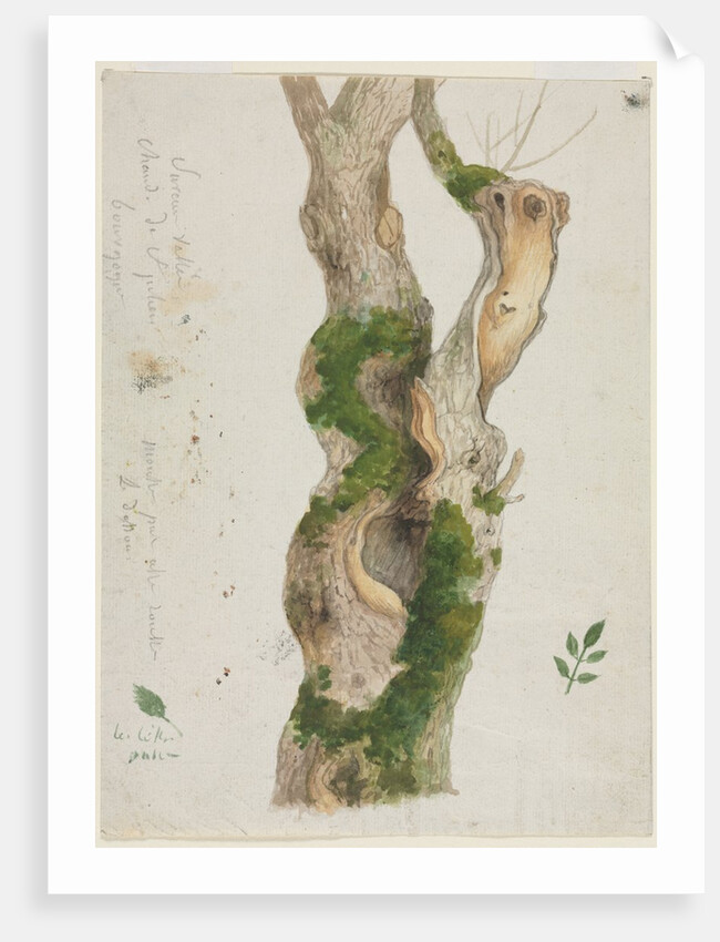 Study of a Tree Trunk by Georges Michel