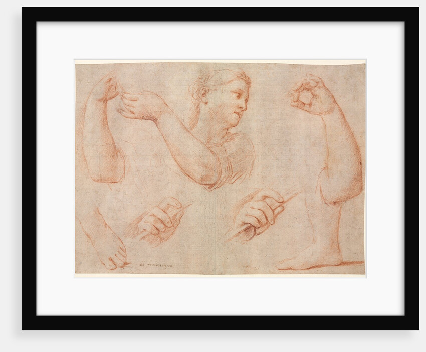 Study of a Young Woman Playing a Tambourine, and Studies of an Arm, Hands, and Feet…, c. 1711 by Marcantonio Franceschini