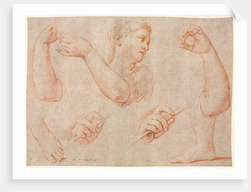 Study of a Young Woman Playing a Tambourine, and Studies of an Arm, Hands, and Feet…, c. 1711 by Marcantonio Franceschini