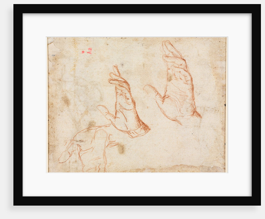 Study of Hands, c. 1590 by Camillo Procaccini