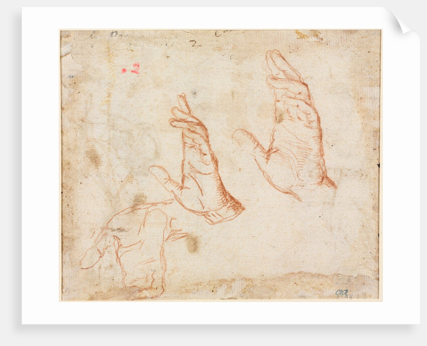 Study of Hands, c. 1590 by Camillo Procaccini