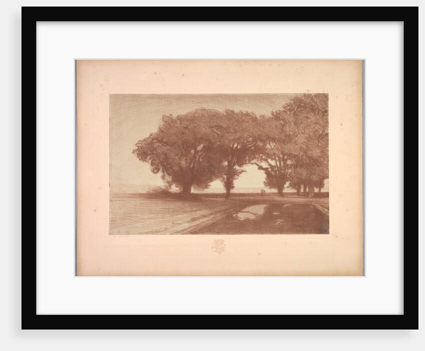 Suite de Paysages: Landscape, Plate 8, Remarque, Pansies, 1892-1893 by Charles Marie Dulac