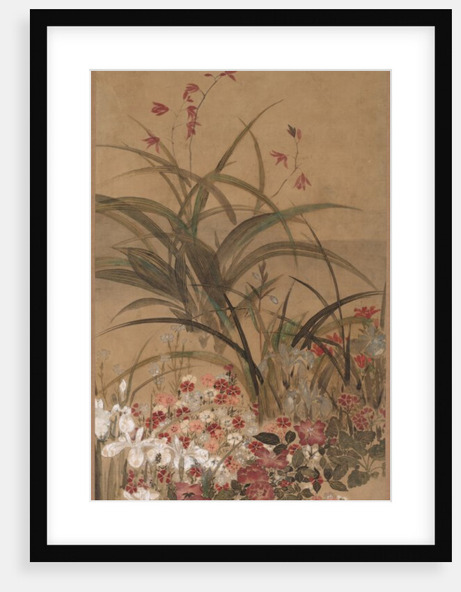Summer Flowers, mid 1600s by Kitagawa S?setsu