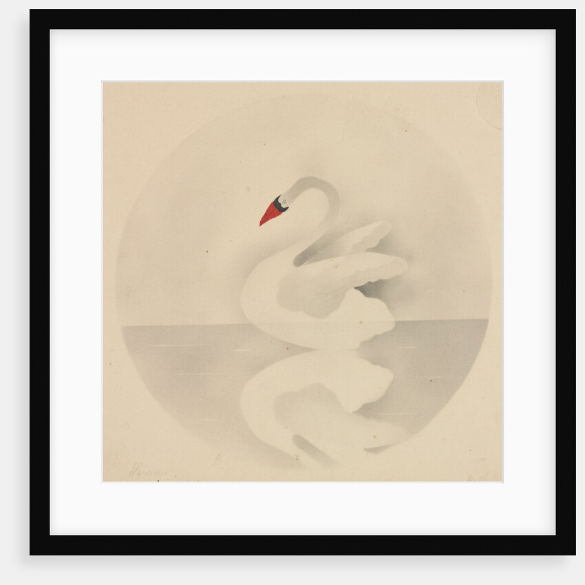 Swan by Mary Altha Nims
