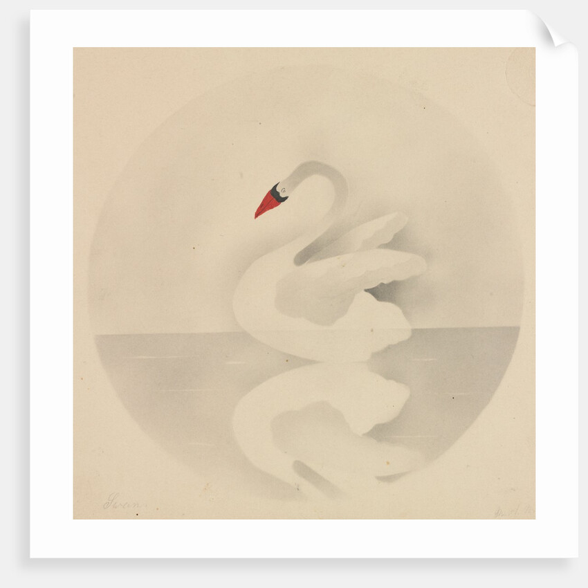 Swan by Mary Altha Nims