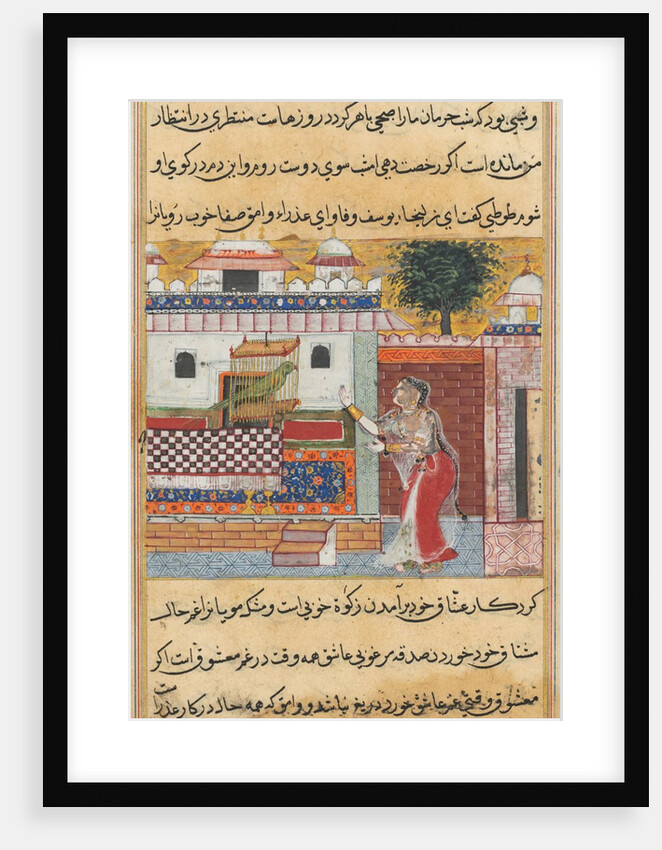 Tales of a Parrot: The Twelfth Night: the parrot addresses Khujasta…, c. 1560 by Unknown