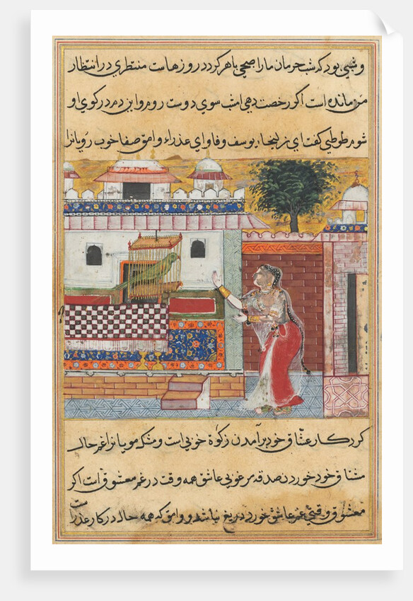 Tales of a Parrot: The Twelfth Night: the parrot addresses Khujasta…, c. 1560 by Unknown