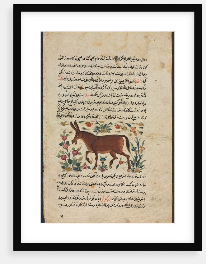 Text Page, Persian Prose; Khar, 1400s by Unknown