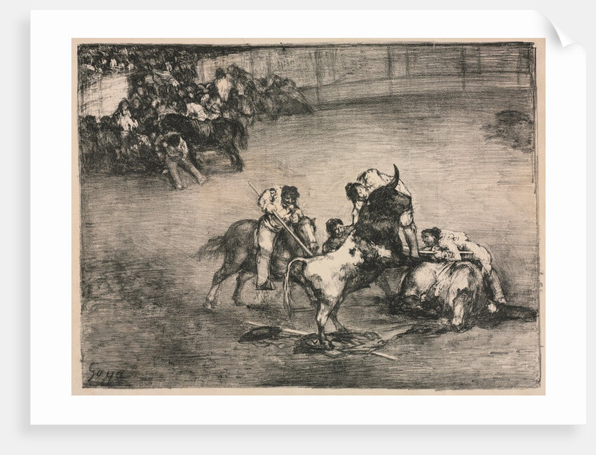 The Bulls of Bordeaux: Picador Caught by a Bull, 1825 by Francisco de Goya