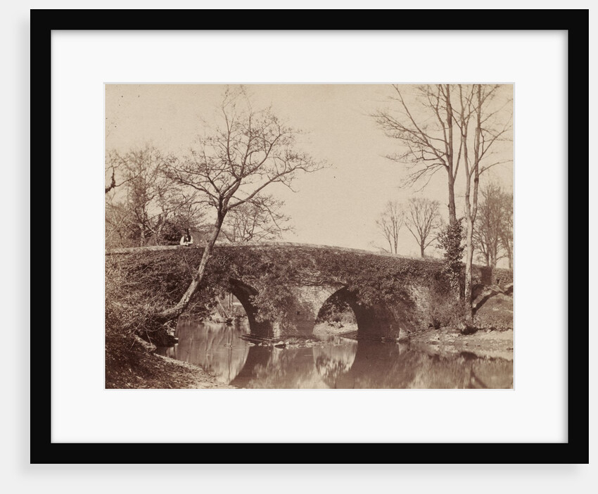 The Country Bridge, c. 1854- 1857 by John Dillwyn Llewelyn