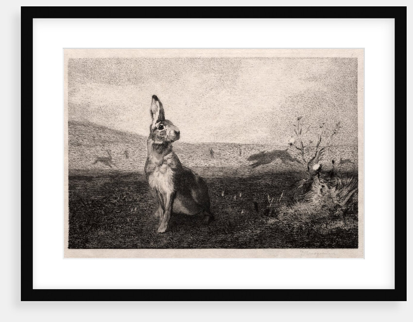 The Hare, 1865 by Félix Bracquemond
