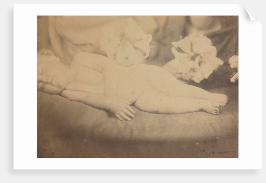The Lily and the Lamb, c. 1865 by Julia Margaret Cameron