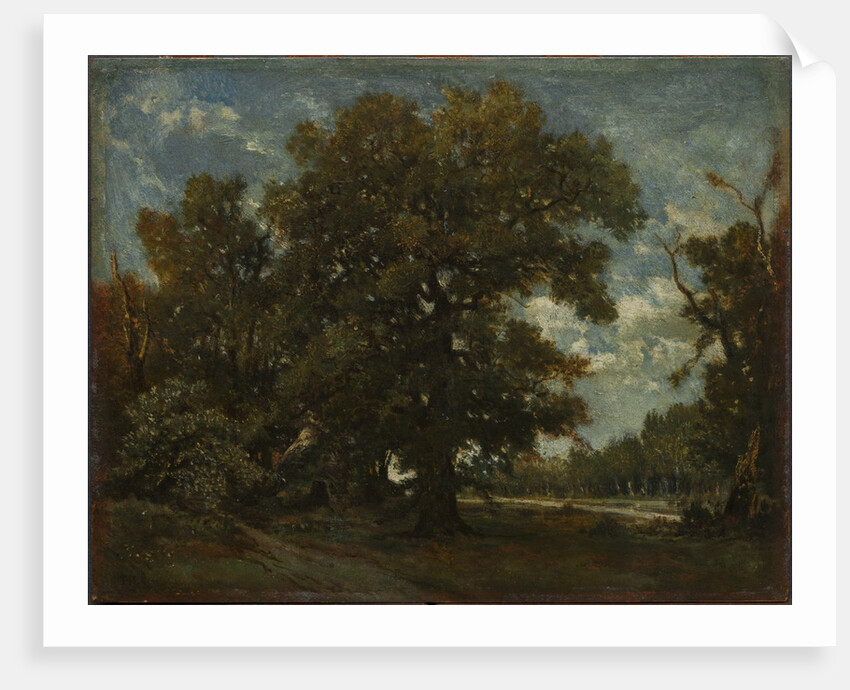 The Oak Tree, 19th century by Théodore Rousseau (imitator of)