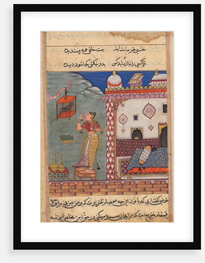 The parrot addresses Khujasta at the beginning of the twenty-seventh night, recto of folio 185…c15 by Unknown