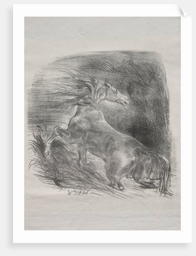 The Wild Horse, or Frightened Horse Leaving the Water, 1828 by Eugène Delacroix