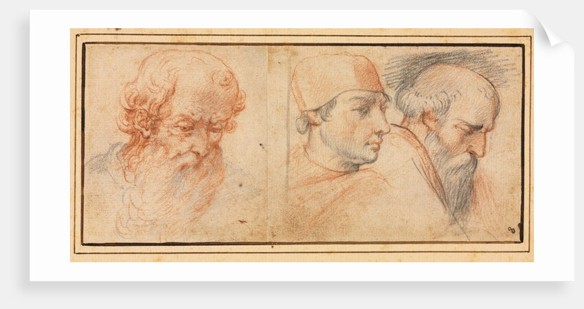 Three Head Studies, 1600s by Unknown
