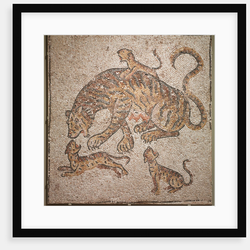 Tigress and Cubs, 300s by Unknown