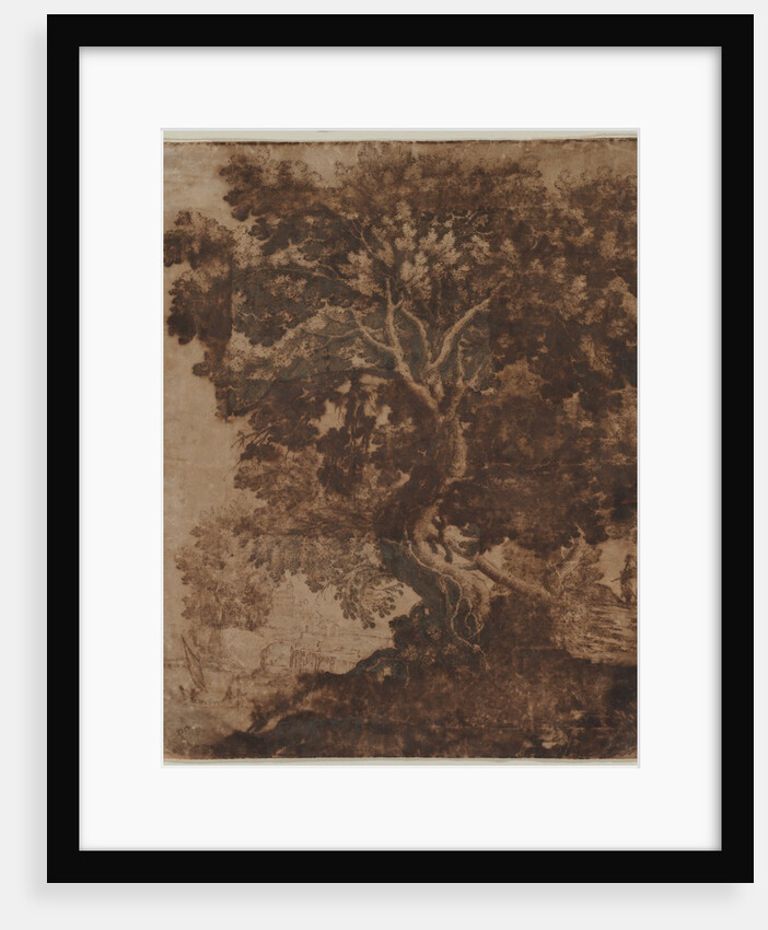 Tree in a Landscape, mid 17th century by Ercole Bazicaluva