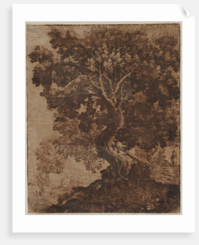 Tree in a Landscape, mid 17th century by Ercole Bazicaluva