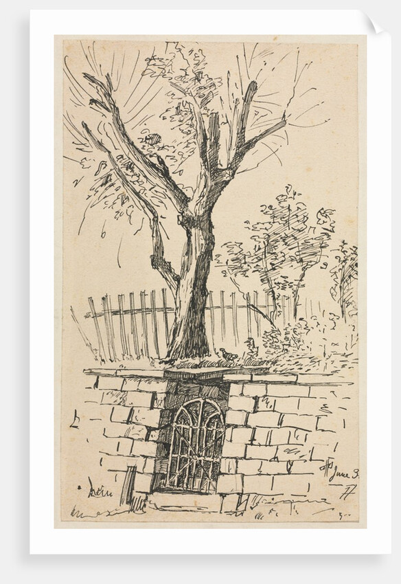 Tree on Top of a Stone Wall, Cleveland by Otto H. Bacher