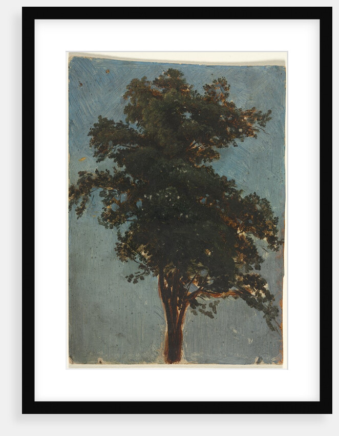 Tree Study, second third 1800s by Alexandre Calame (attributed to)