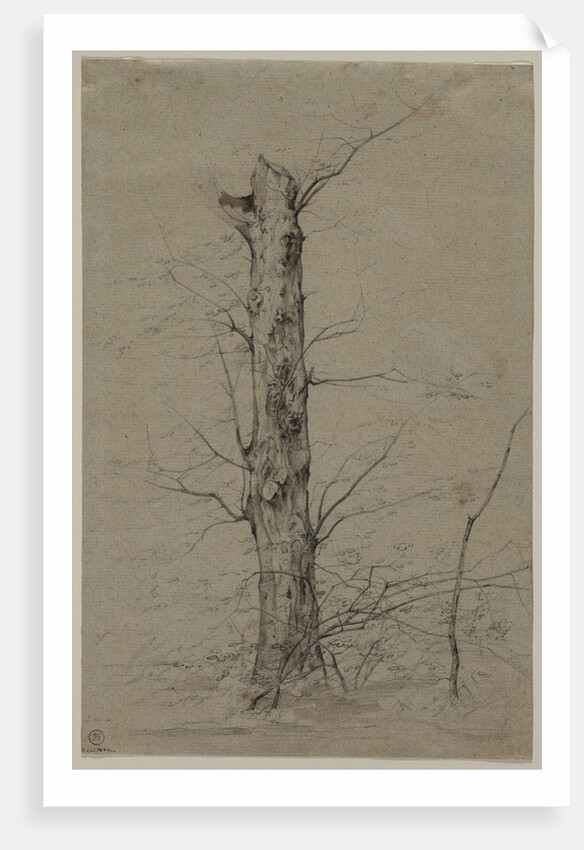 Tree, c. 1835-45 by Ludwig Ferdinand Schnorr von Carolsfeld