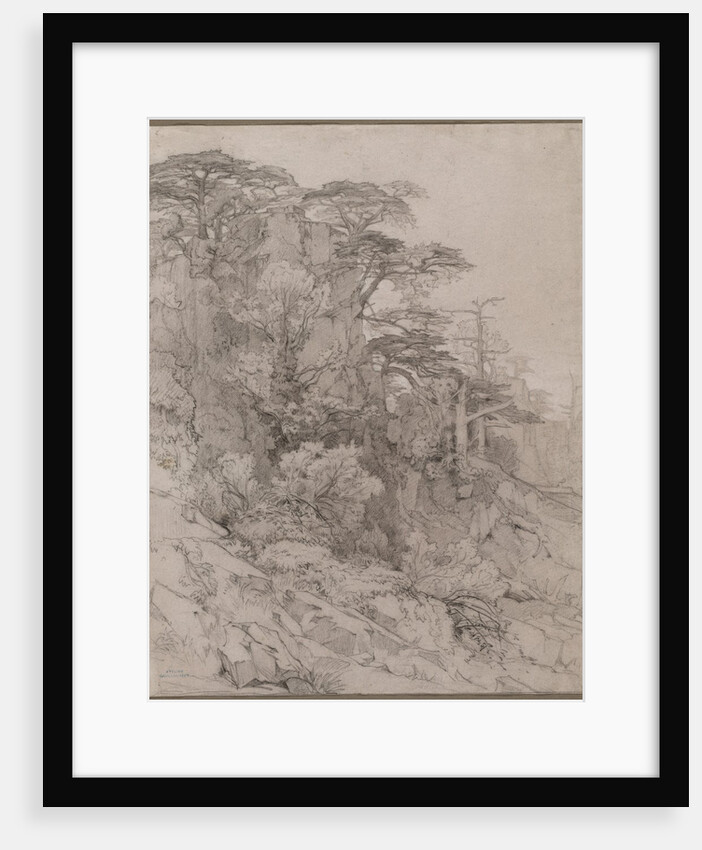 Trees of a Rocky Hillside, late 1800s by Gustave Achille Guillaumet