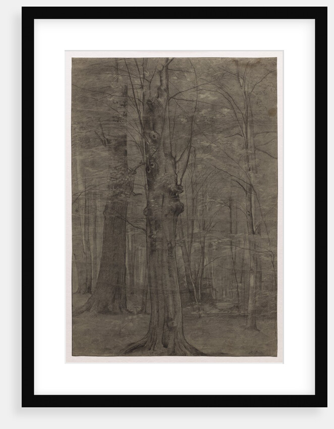 Trees by Leopold Bode