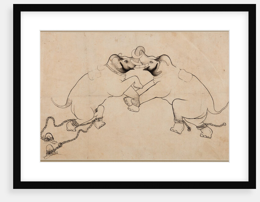 Two Elephants in Combat, early 1700s by Unknown