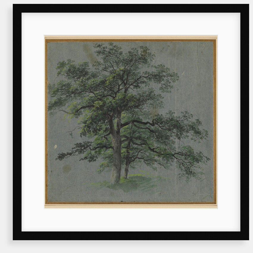 Two Trees, first half 1800s by Johann Jacob Dorner