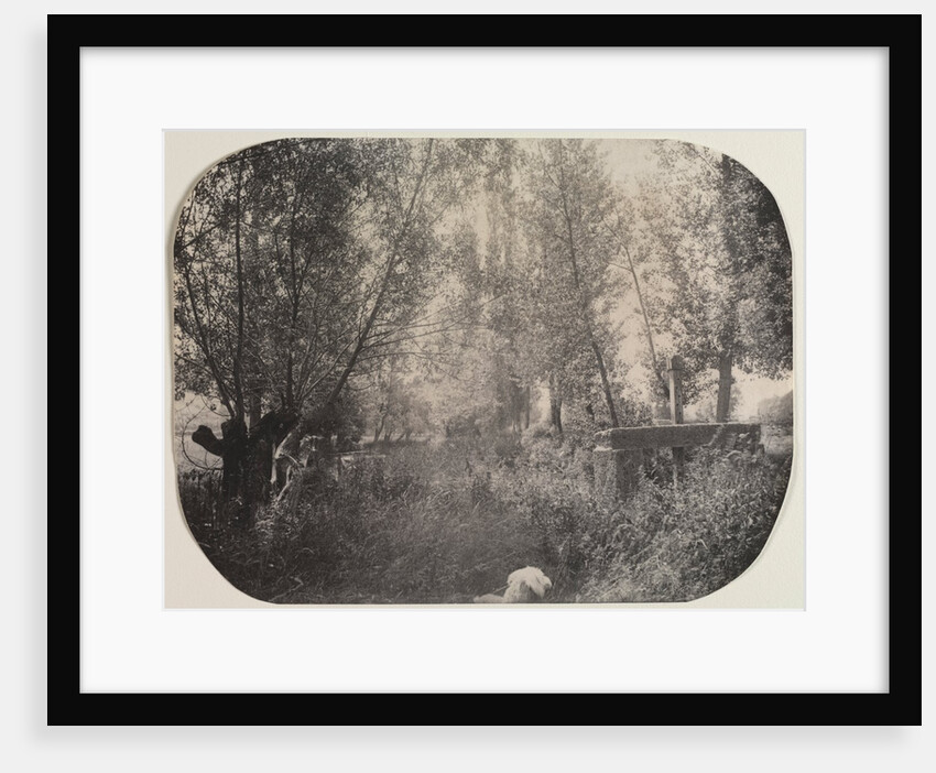 Untitled, c. 1910 by Unidentified Photographer