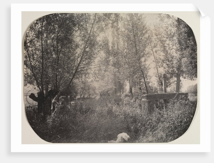 Untitled, c. 1910 by Unidentified Photographer