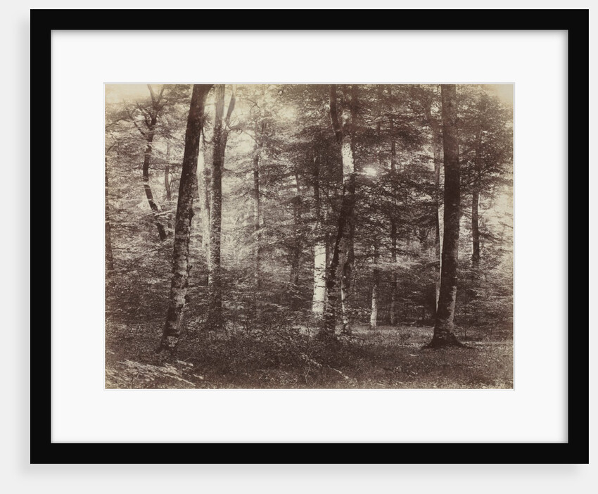 Untitled, c. 1874 by Constant Alexandre Famin