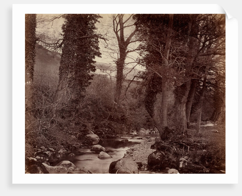 Untitled, c. 1859 by John Lloyd