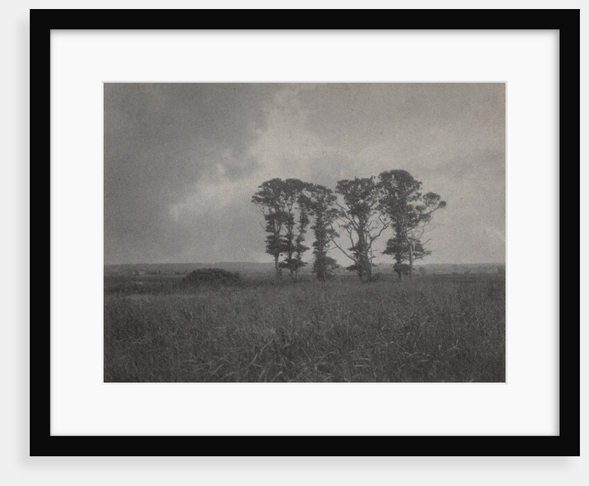 Untitled, c. 1900 by William J. Mullins