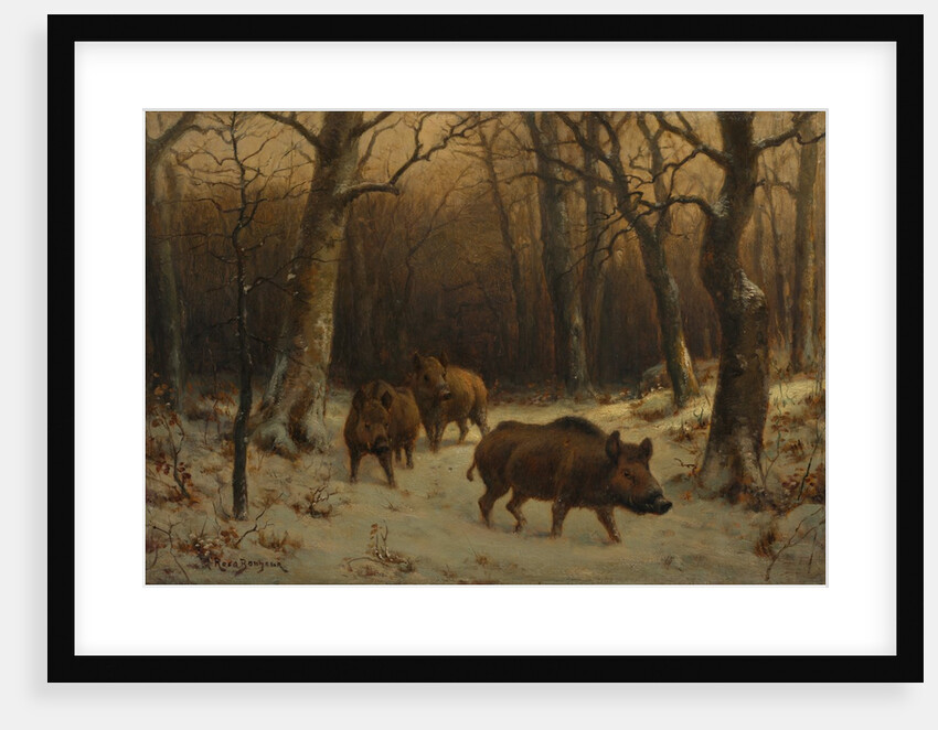 Wild Boars in the Snow, c. 1872-1877 by Rosa Bonheur