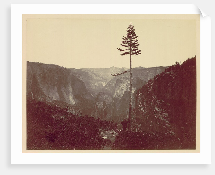 Yosemite Valley from Mariposa Trail, c. 1865 by Charles Leander Weed
