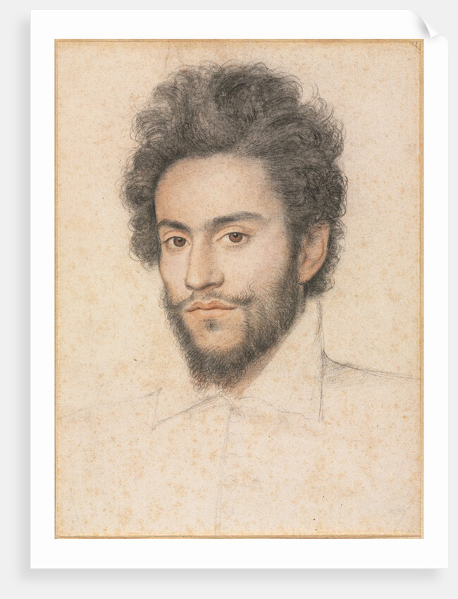 Young Man with a Beard by François Quesnel (attributed to)