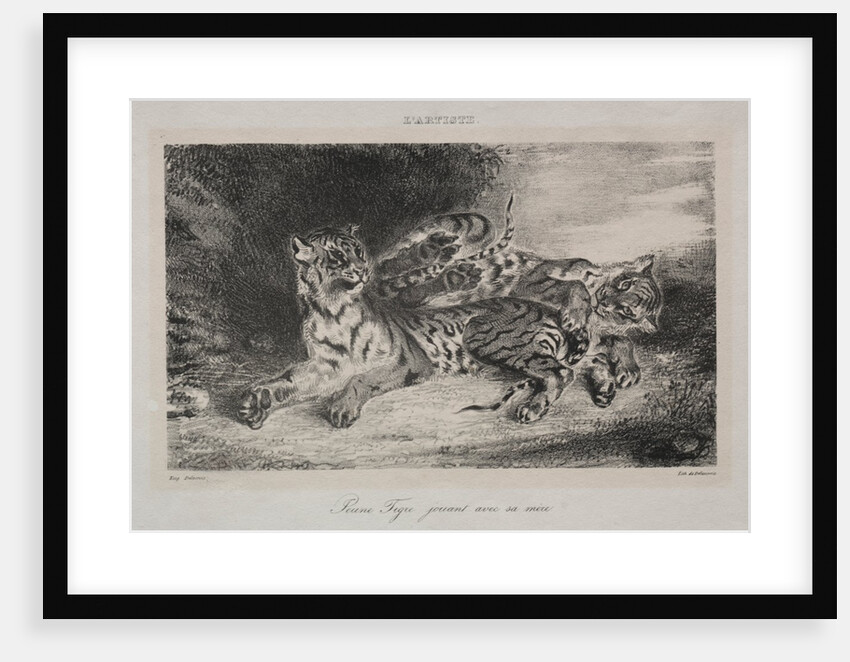 Young Tiger Playing with its Mother, 1831 by Eugène Delacroix