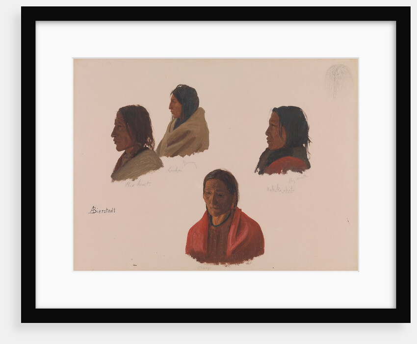 Studies of Indian Chiefs Made at Fort Laramie, ca. 1859 by Albert Bierstadt