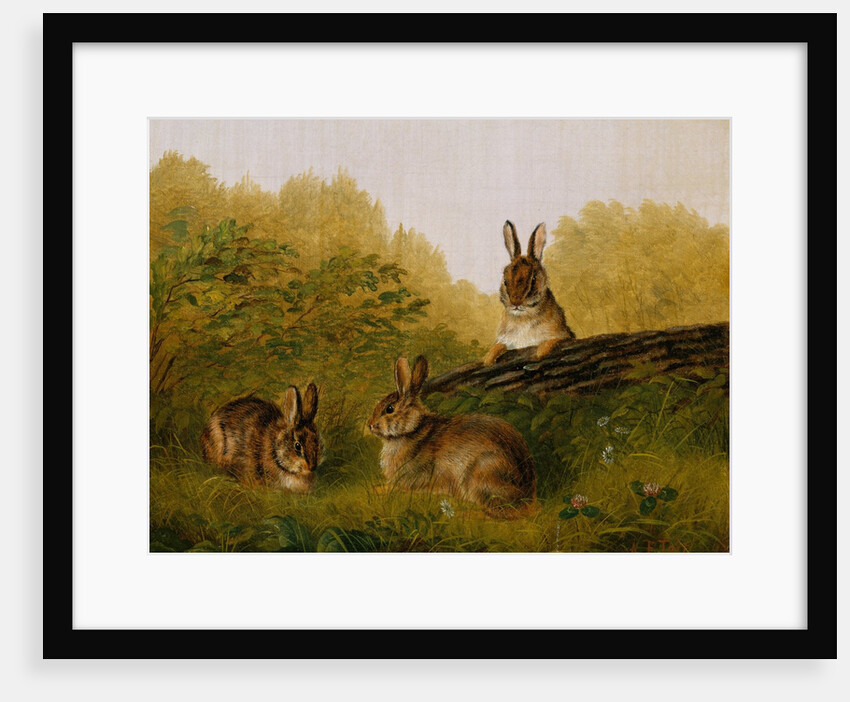 Rabbits on a Log, 1897 by Arthur Fitzwilliam Tait