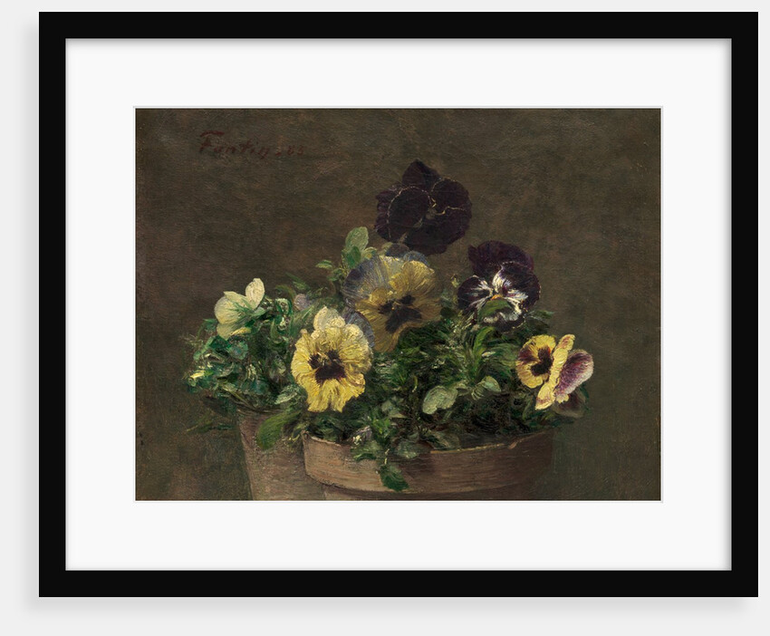 Potted Pansies, 1883 by Henri Fantin-Latour