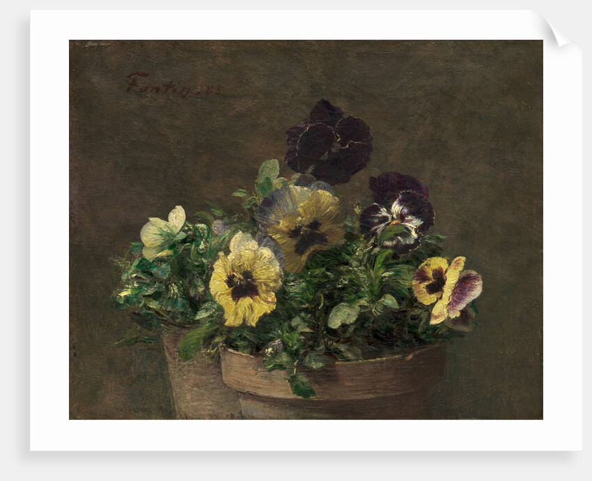 Potted Pansies, 1883 by Henri Fantin-Latour