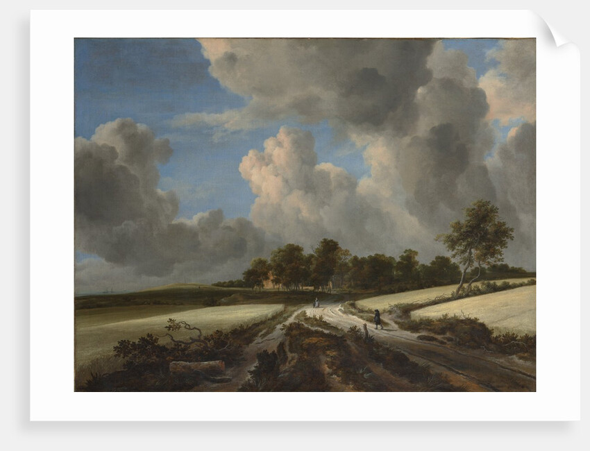 Wheat Fields, ca. 1670 by Jacob van Ruisdael