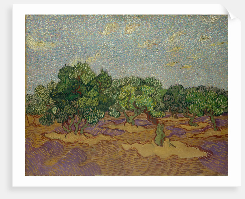 Olive Trees, 1889 by Vincent van Gogh