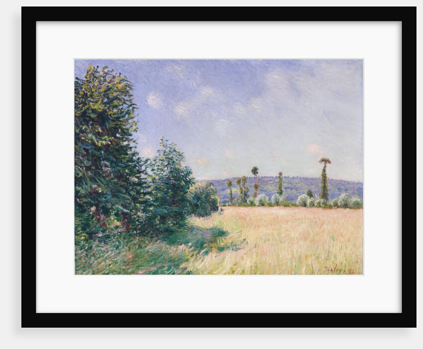 Sahurs Meadows in Morning Sun, 1894 by Alfred Sisley